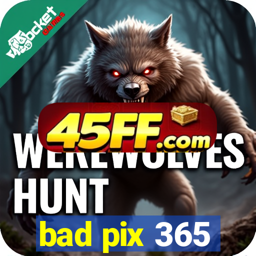 bad pix 365